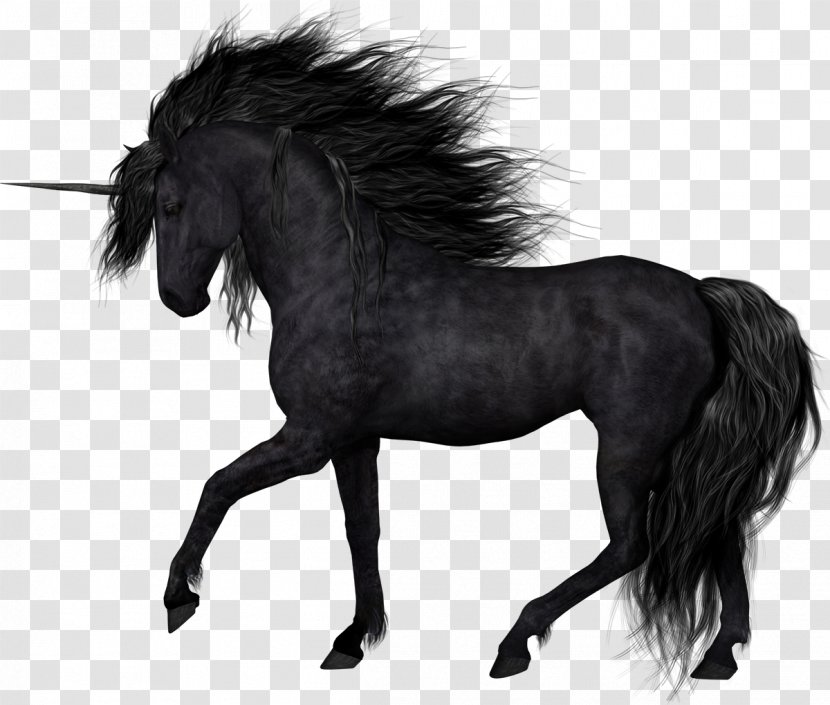 Stallion Black Mustang Clip Art - And White Transparent PNG