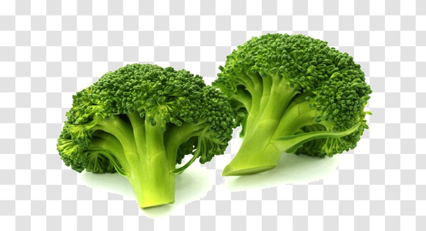 Broccoli Vegetable Cauliflower Food Cabbage - Cruciferous Vegetables Transparent PNG