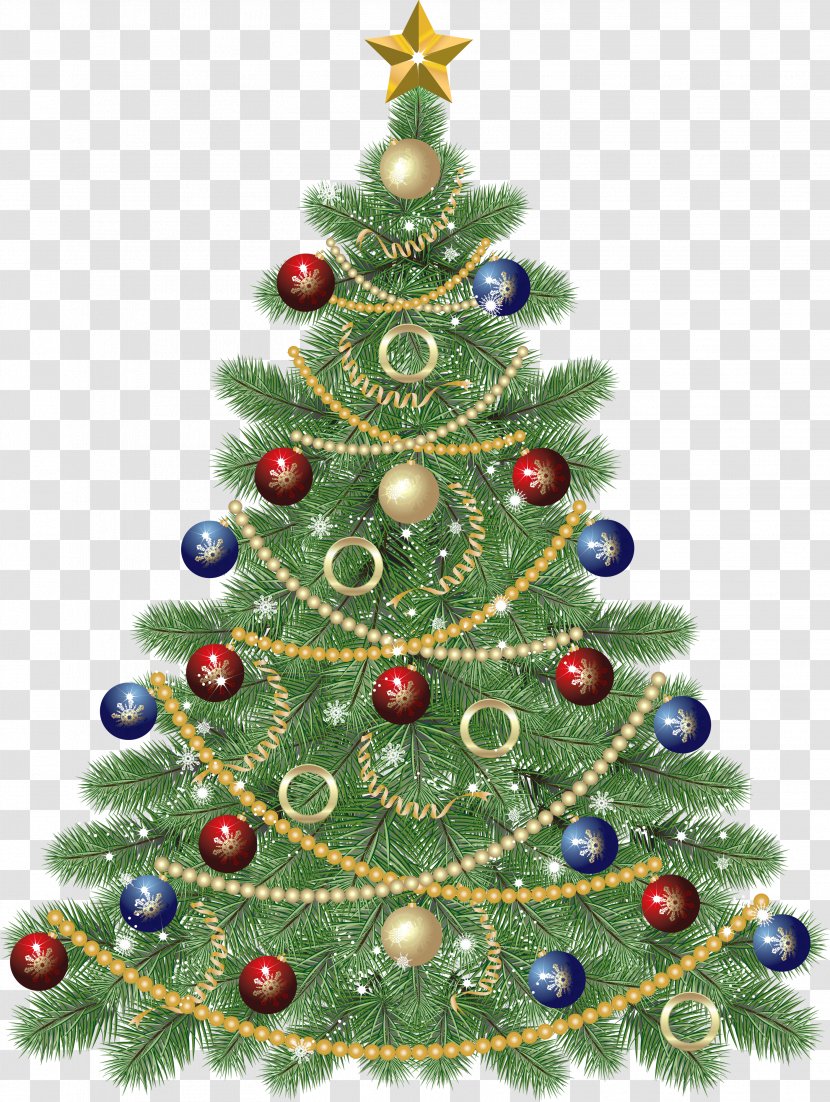 Christmas Tree Day Clip Art - Fir - Large Transparent With Star Clipart Transparent PNG