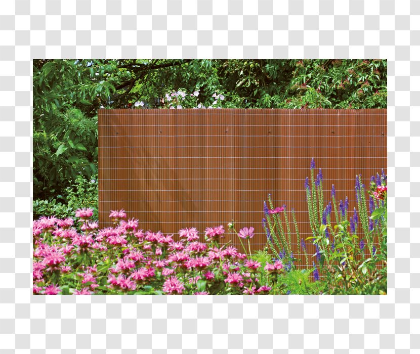 Plastic Mat Polyvinyl Chloride Rügen Picket Fence - Einfriedung - Bamboo Gate Transparent PNG