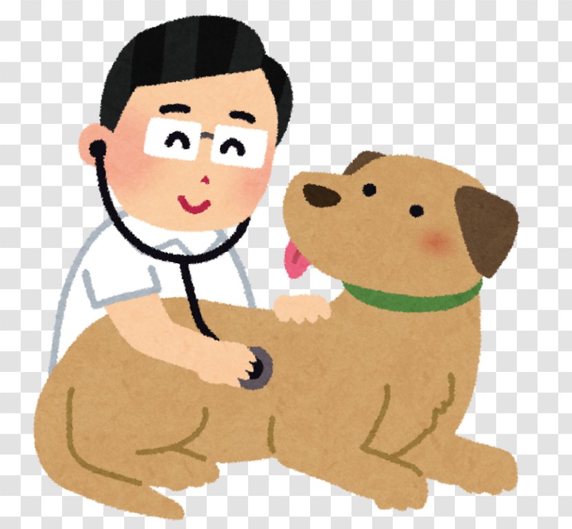 Dog Cat Veterinarian Veterinary Medicine Paraveterinary Worker - Canidae - Gesture Transparent PNG