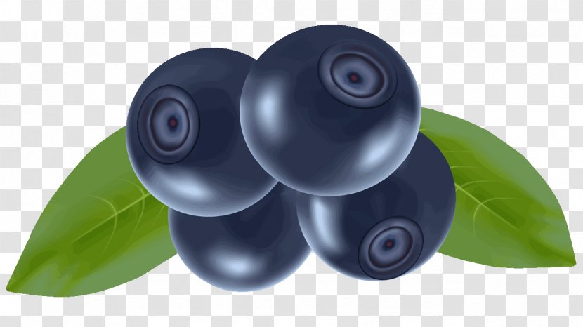 Fruit Plastic - Blueberry - Blueberries Transparent PNG