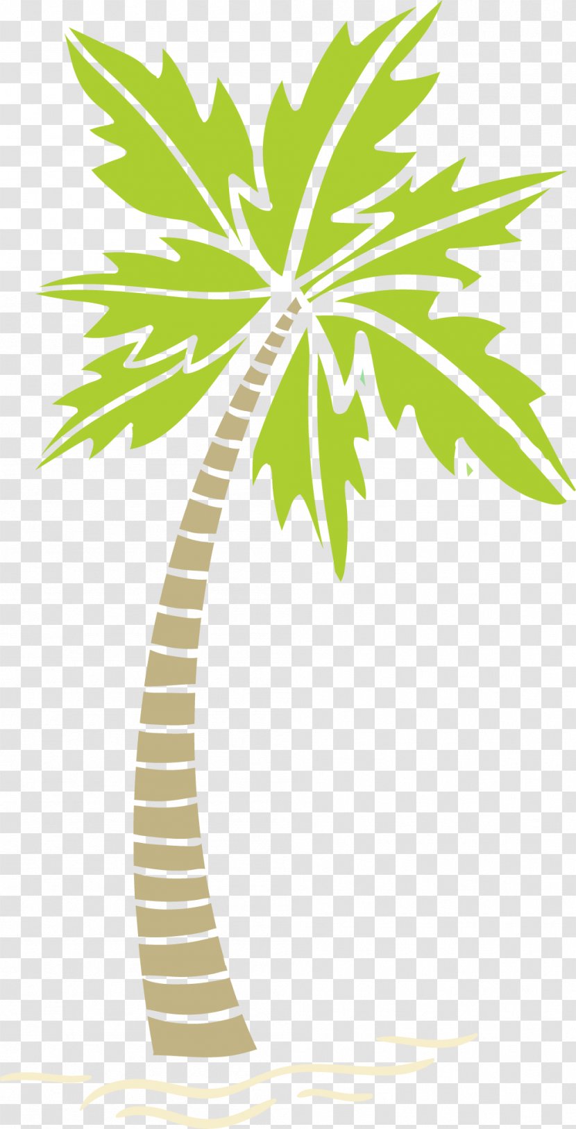 Arecaceae Areca Palm Tree - Effect Diagram Transparent PNG