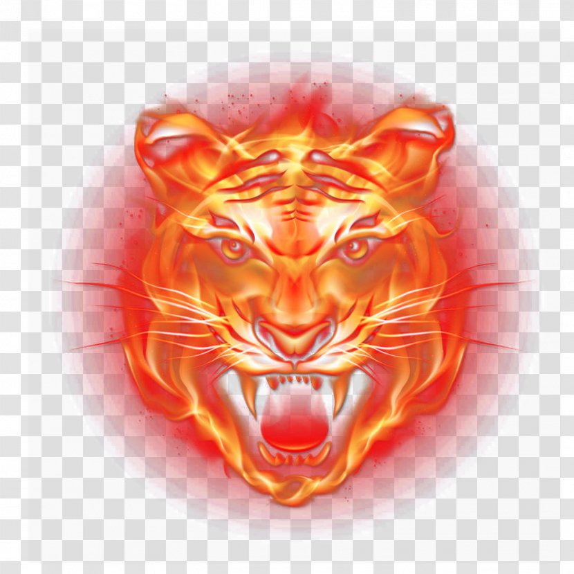 Tiger Light Flame Fire - Cat Like Mammal Transparent PNG