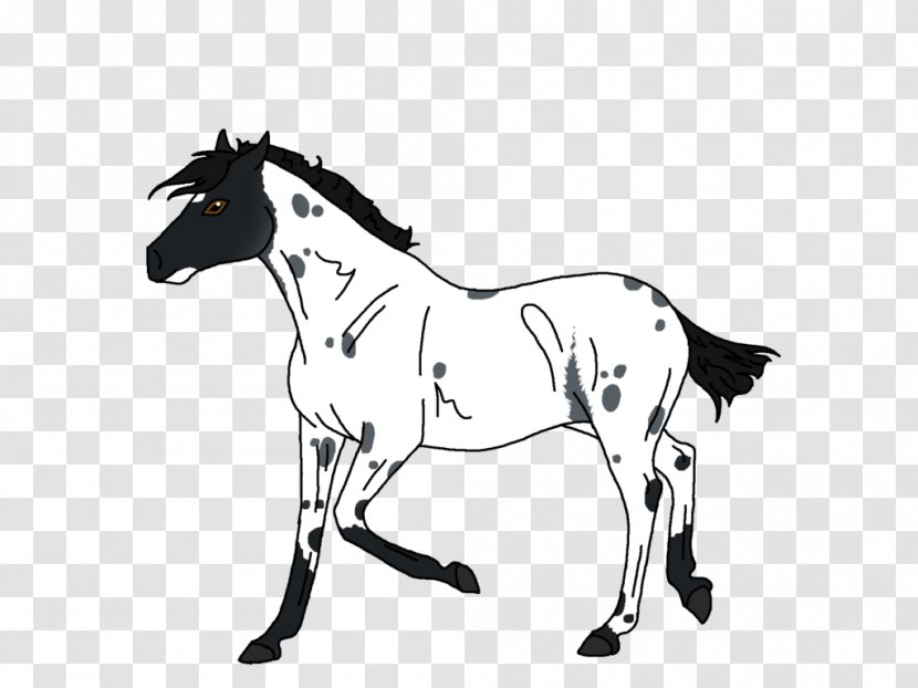 Mule Foal Stallion Colt Pony - Neck - Mustang Transparent PNG