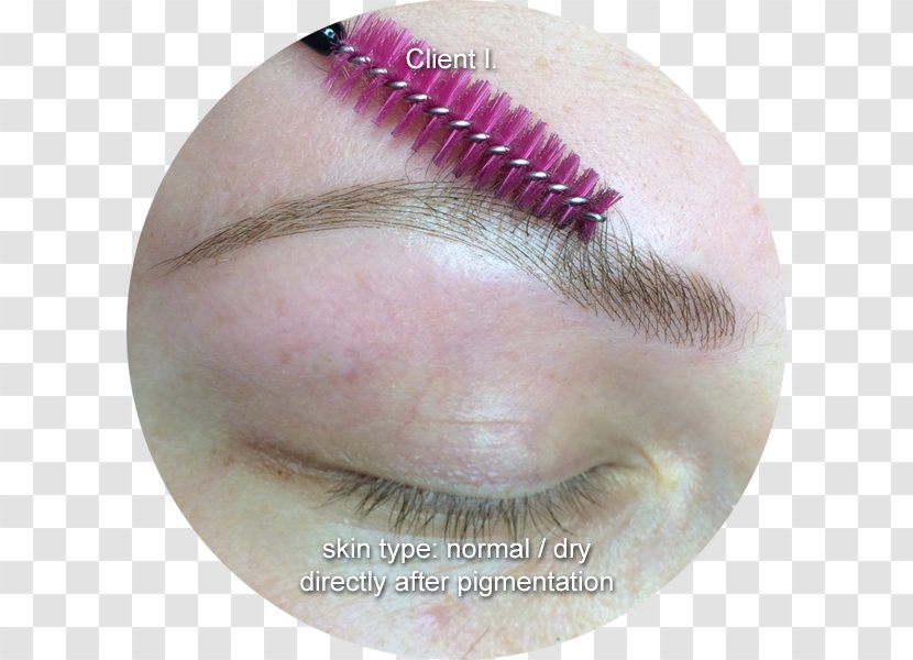 Face Couture - Ache - Microblading Professionals Eyelash Extensions EyebrowMicroblading Transparent PNG