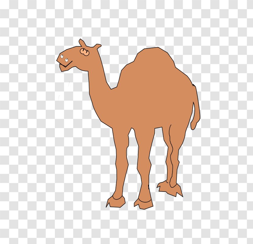 Dromedary Clip Art - Terrestrial Animal - Camel Images Transparent PNG