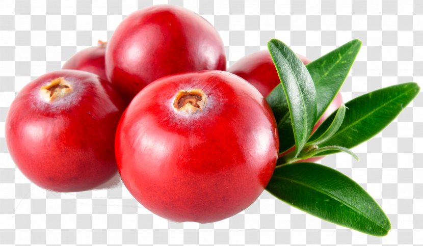 Cranberry Royalty-free Stock Photography - Malpighia Transparent PNG