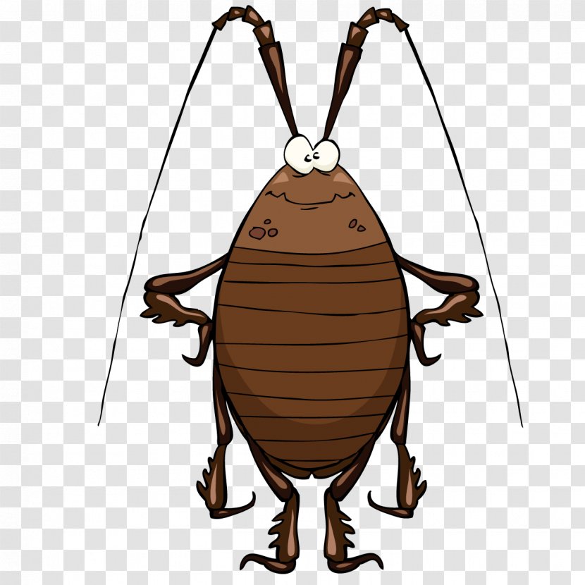Cockroach Cartoon Clip Art Transparent PNG