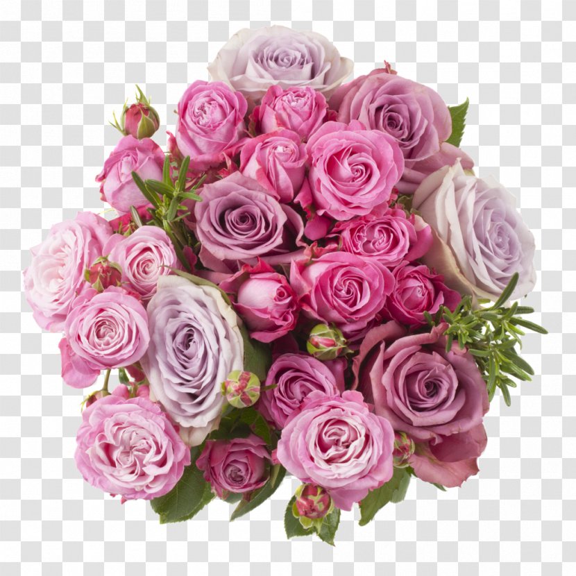 Garden Roses Cut Flowers Flower Bouquet Cabbage Rose Delivery - Plant Transparent PNG