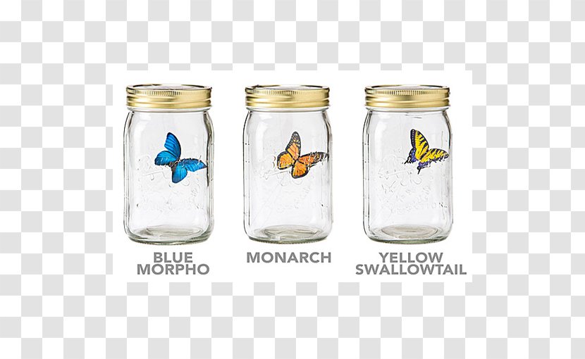 Butterfly Jar Gadget Morpho Insect - Bottle Transparent PNG