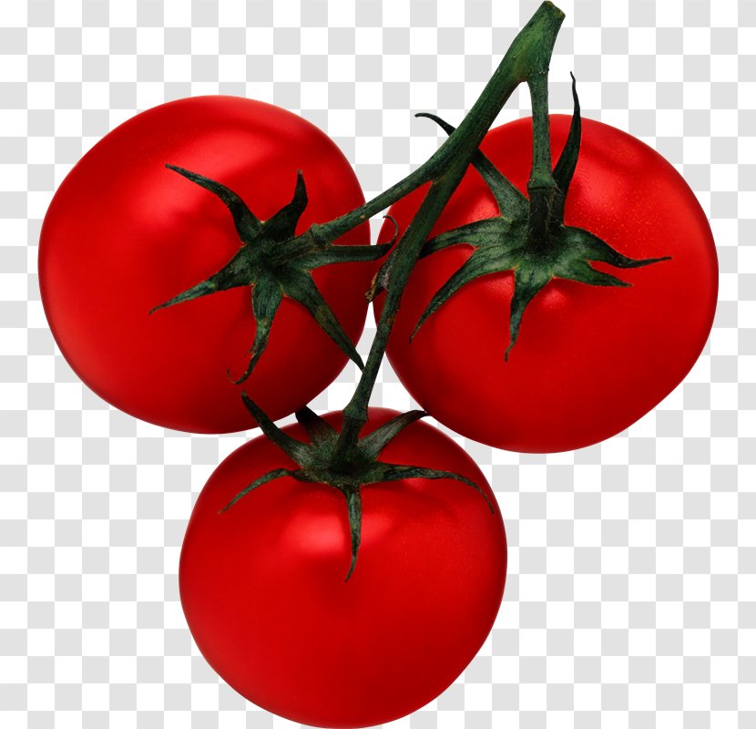 Vegetable Cherry Tomato Cucumber Clip Art - Vitamin B6 Transparent PNG