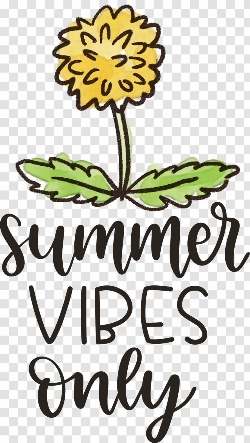 Summer Vibes Only Summer Transparent PNG