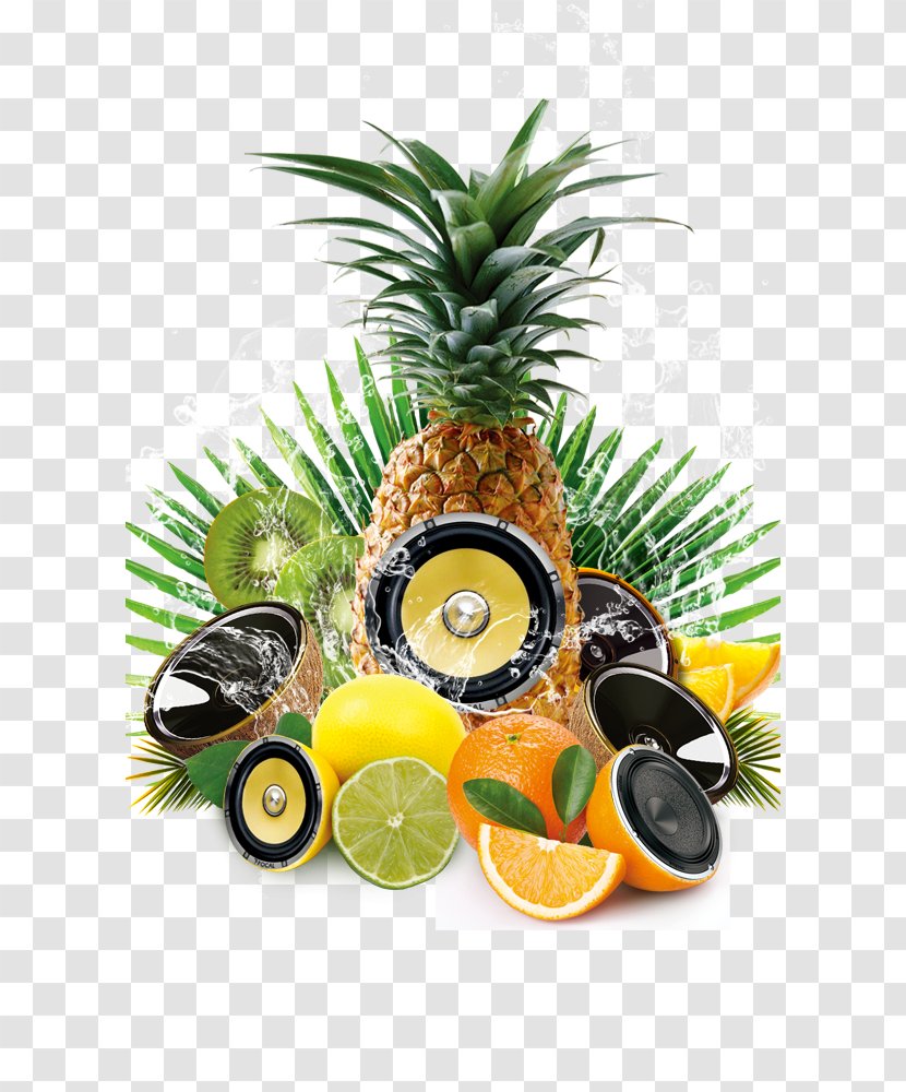 Party Computer File - Cartoon - Fruits And Musical Elements Transparent PNG