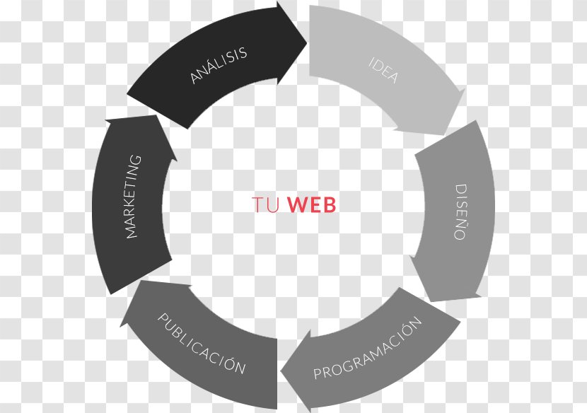 Anfibic Web Development Digital Marketing Brand - Organization Transparent PNG