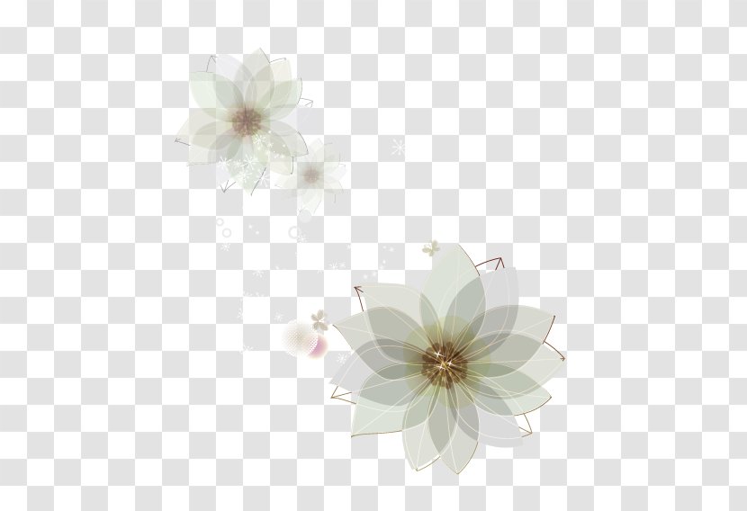 Flowering Plant - Flower - Blossom Transparent PNG