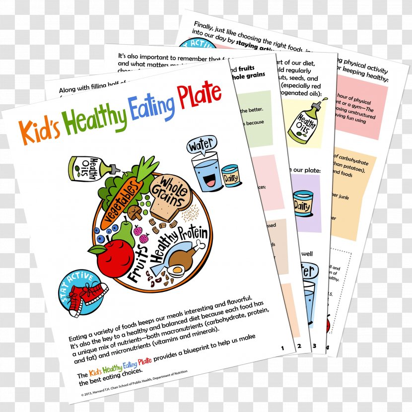 MyPlate Harvard T.H. Chan School Of Public Health Healthy Diet Nutrition - Dash - Balanced Transparent PNG