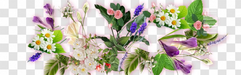Flower Leaf Floral Design - Free To Pull Flowers Transparent PNG