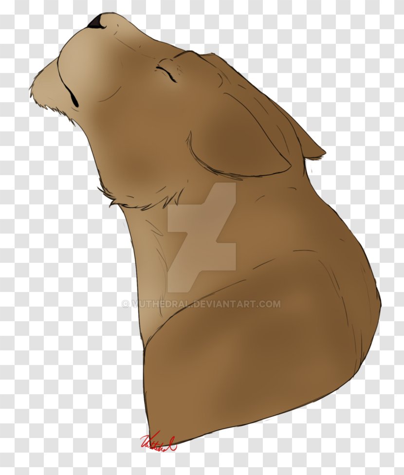 Neck Snout - Summer Pull Down Transparent PNG