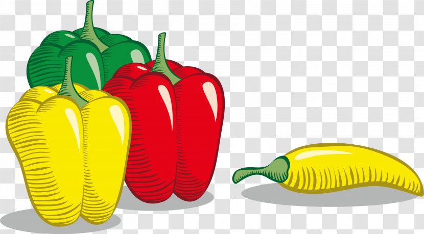 Tabasco Pepper Bell Cayenne Vegetable - Health Decoration Pattern Transparent PNG