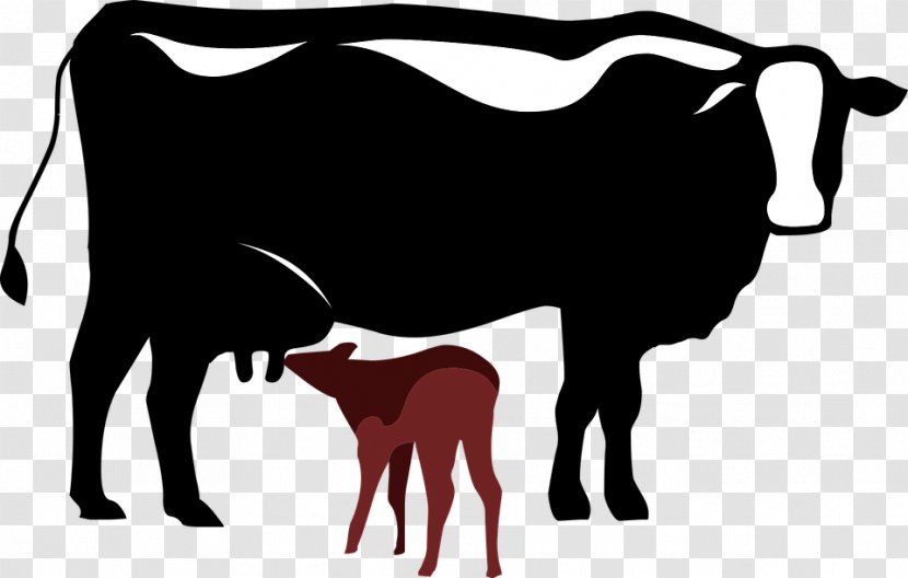 Dairy Cattle Calf Vector Graphics Clip Art - Horn - Cartoon Cow Transparent PNG