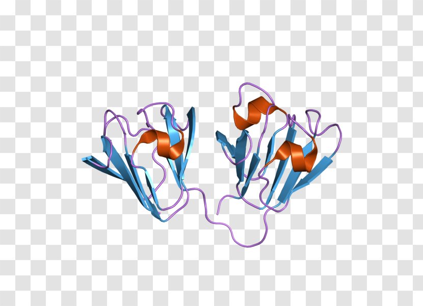 Affilin Crystallin Protein Ubiquitin Antigen - Silhouette - Watercolor Transparent PNG