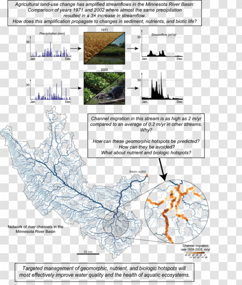 Tree Water Resources Diagram Line Transparent PNG