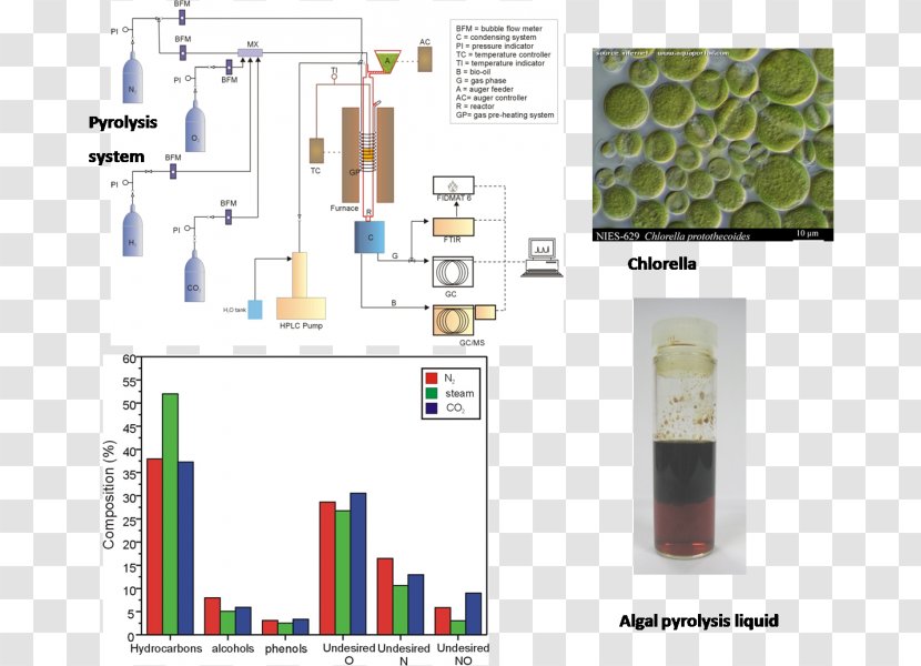 Brand Chlorella - Design Transparent PNG