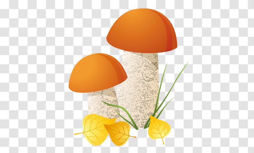 Mushroom Shiitake Cartoon - Mushrooms Transparent PNG