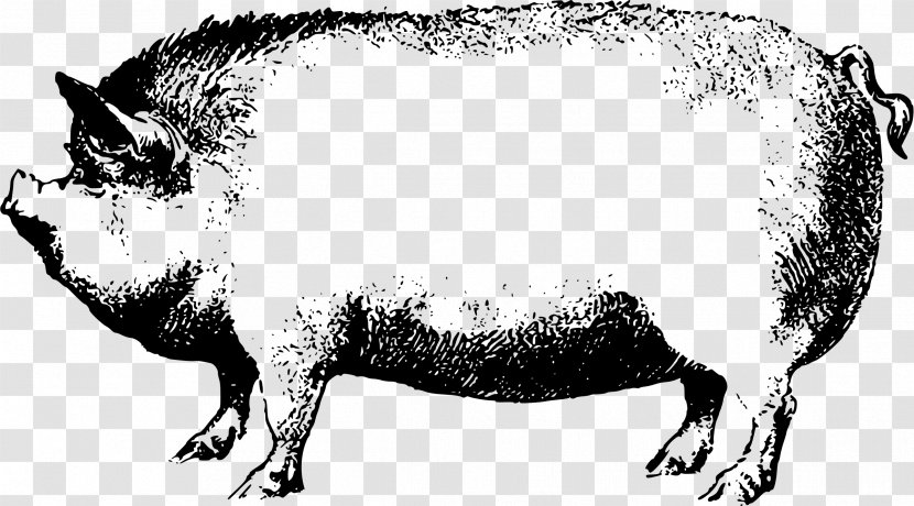 Wild Boar Clip Art - Monochrome - Pig Clipart Transparent PNG