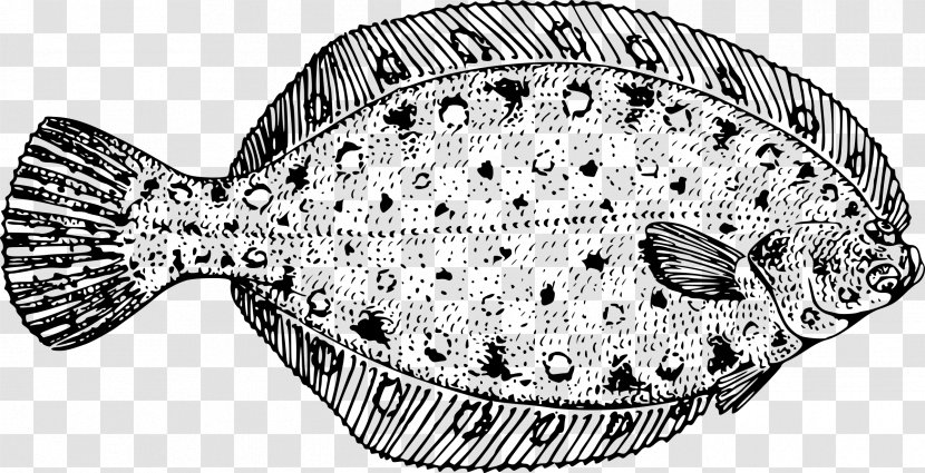 Flounder Flatfish Clip Art - Fish Transparent PNG