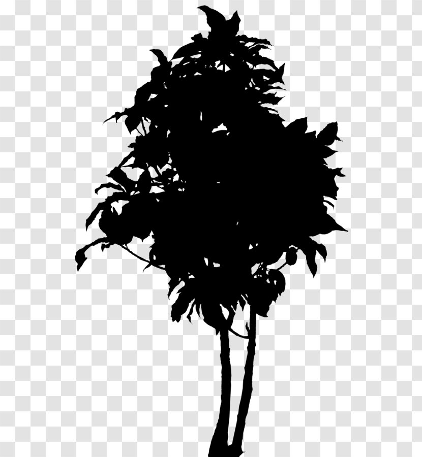 Clip Art Oak Vector Graphics Silhouette Tree - Stock Photography Transparent PNG