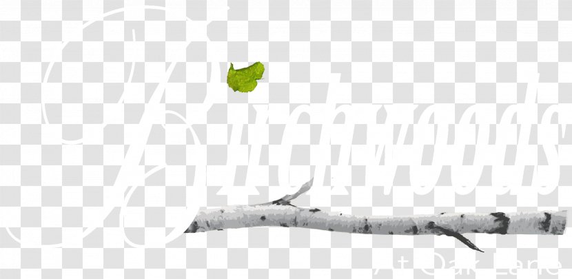 Line Art Animal - Twig - Traditions Club Transparent PNG
