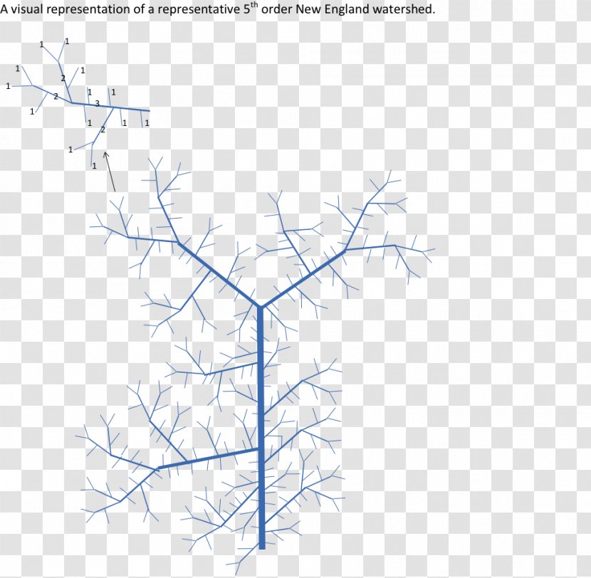 Angle Line Sky Limited Special Olympics Area M - Tree - Environmental Science Transparent PNG