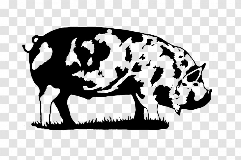 Miniature Pig Kunekune Dairy Cattle Transparent PNG