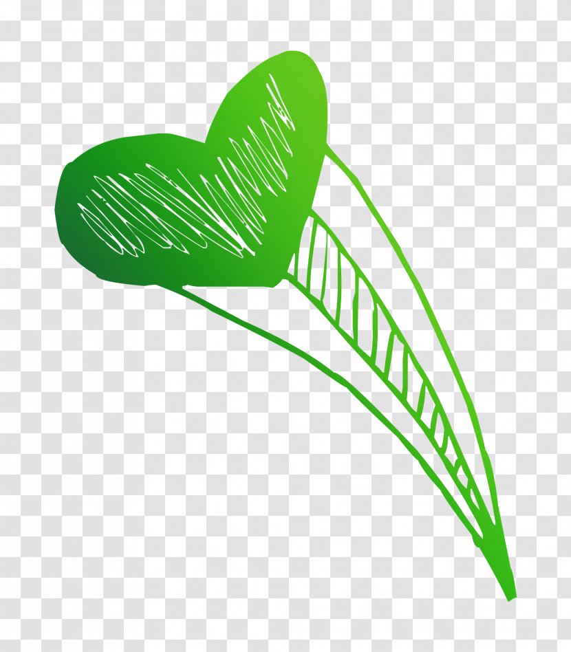 Leaf Green Shoe Product Design Plant Stem Transparent PNG
