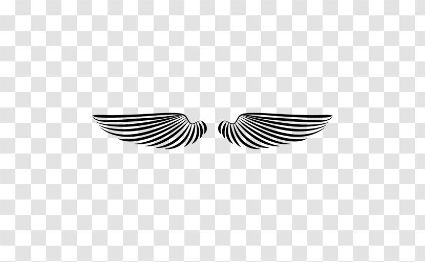 Monochrome Photography Feather Line - Black And White - Wings Transparent PNG