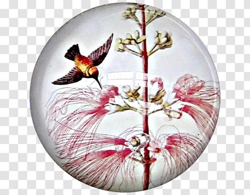 Paperweight Glass .com .au Ornament Transparent PNG