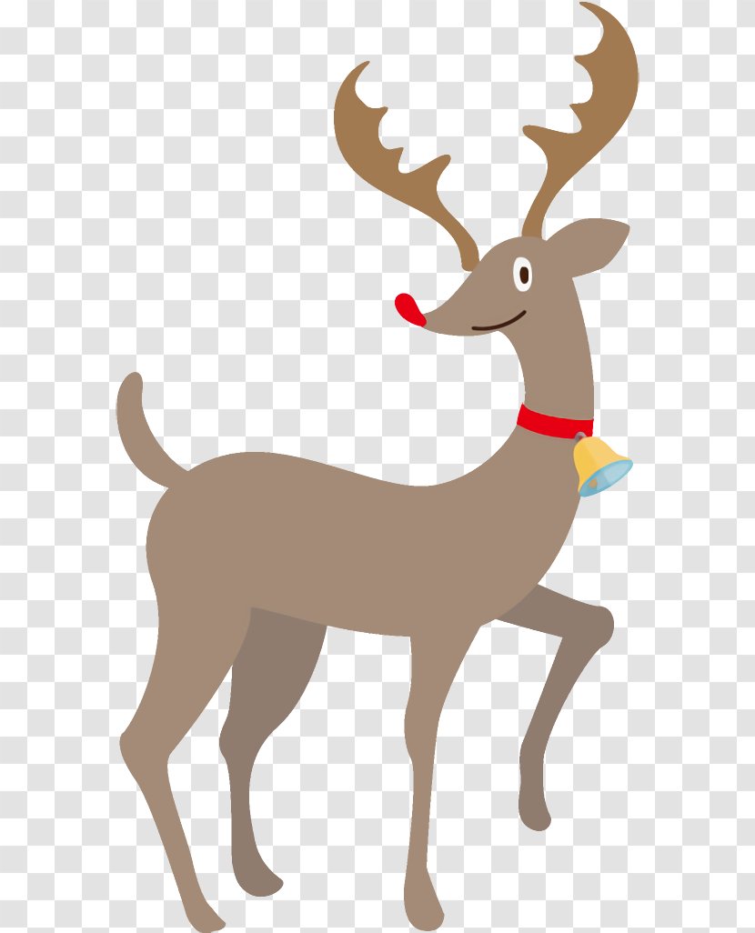 Reindeer Christmas - Tail - Roe Deer Fawn Transparent PNG