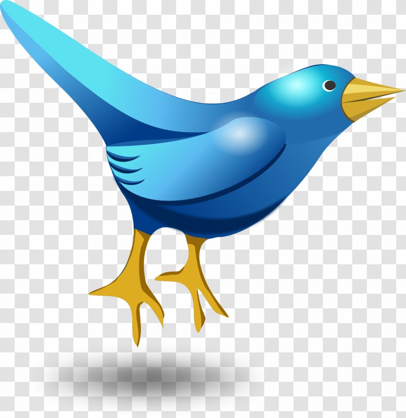 Bird Cartoon Animation Clip Art - Wing Transparent PNG