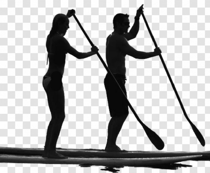 Standup Paddleboarding Surfing Manatee Paddle Sales & Rentals - Recreation Transparent PNG