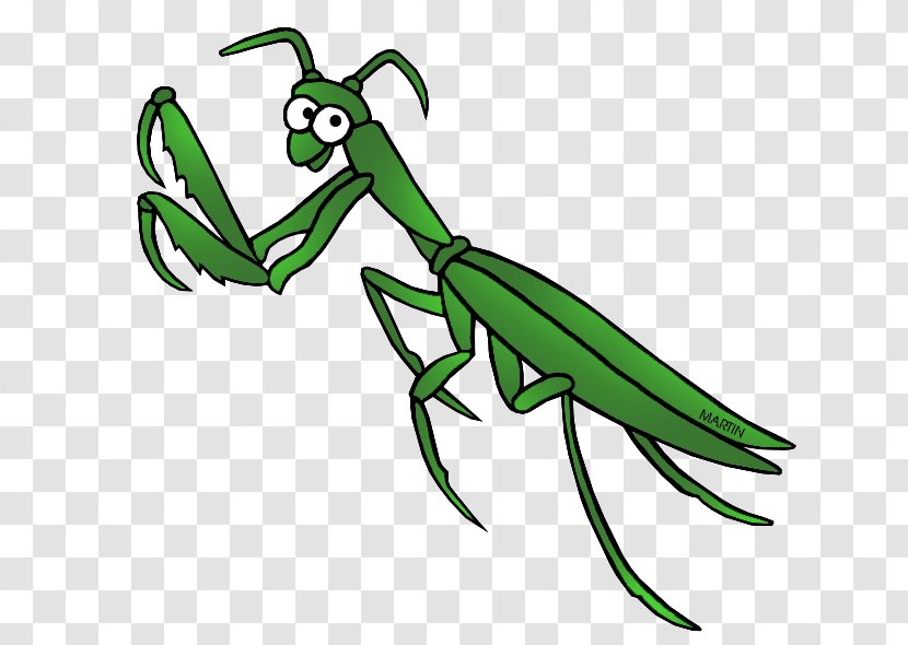 Mantis Clip Art - Animal - Southern Praying Transparent PNG