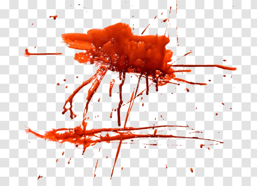 Download Icon - Blood Residue - Image Transparent PNG
