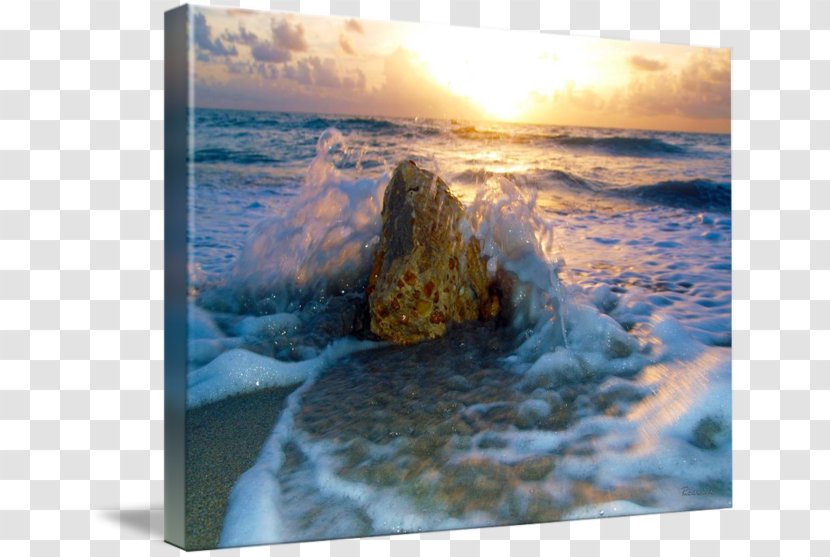 Shore Sea Wave Stock Photography - Rock - Seascape Transparent PNG