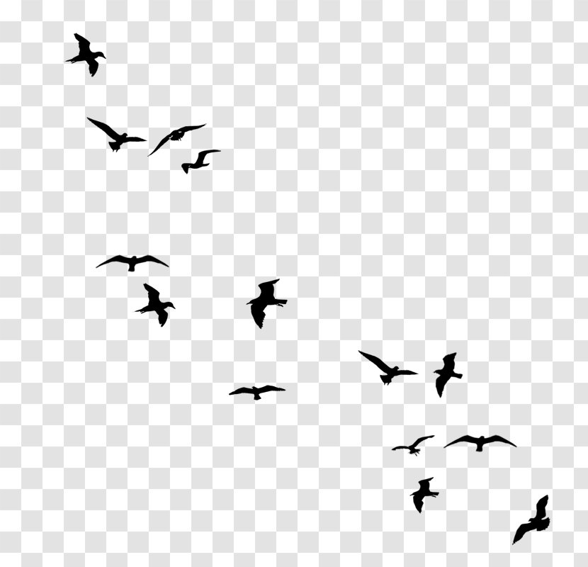 Drawing Birds Flock Clip Art - Monochrome - Bird Transparent PNG