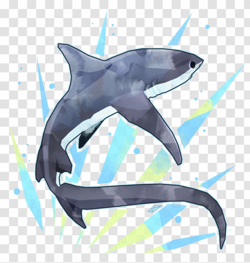 Tiger Shark Pelagic Thresher Common Drawing - Organism - Sharks Transparent PNG