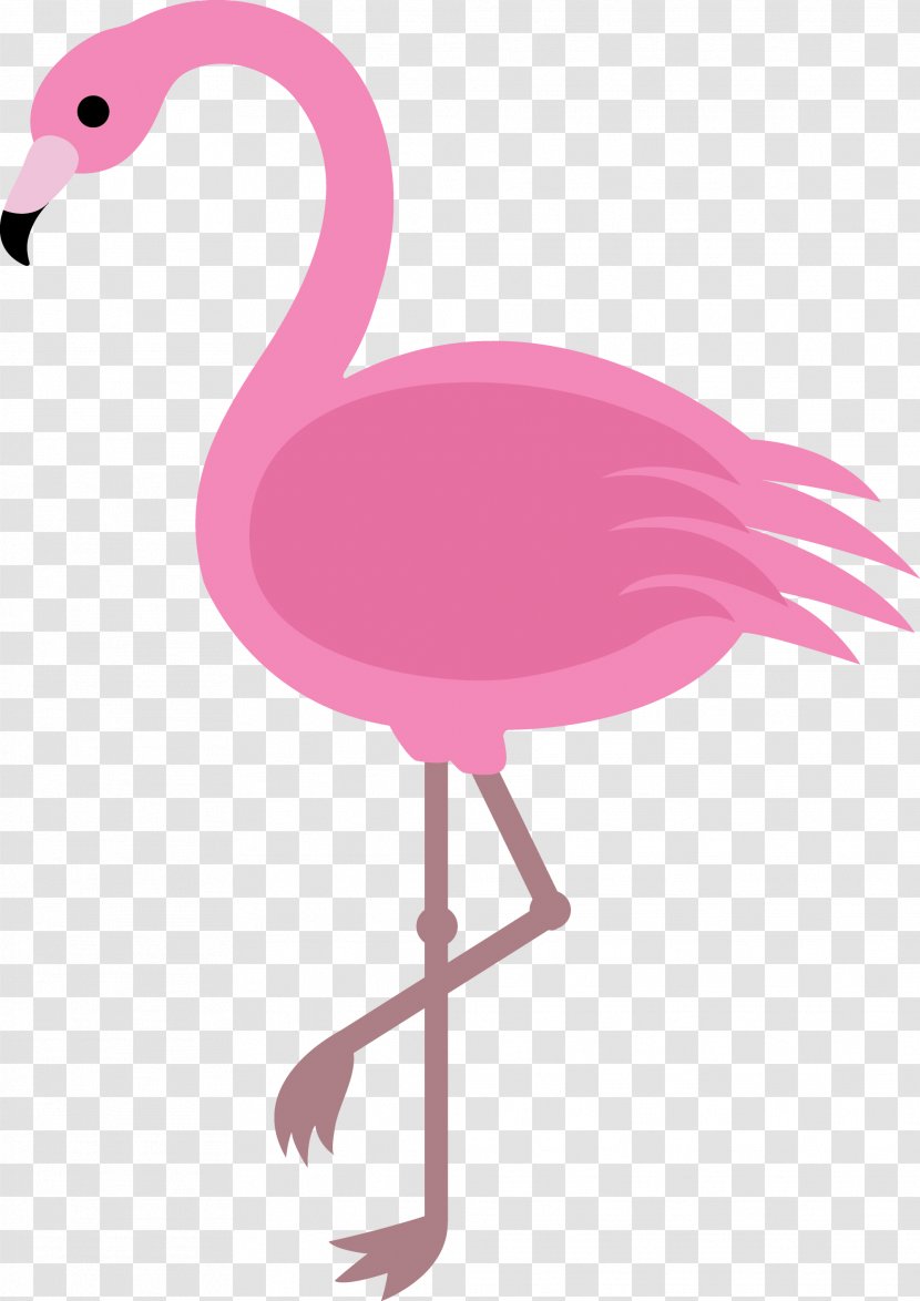 Flamingo Drawing Clip Art - Feather - Bird Cartoon Transparent PNG