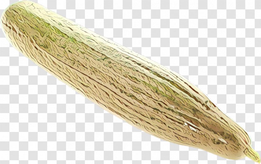 Ingredient Luffa - Commodity Transparent PNG