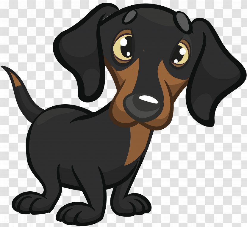 Dachshund Cockapoo Puppy - Dog Breed Transparent PNG