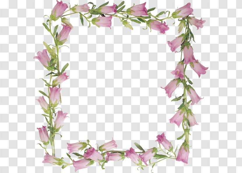Floral Design Lilium Lily Of The Valley Picture Frames Flower - Leaf Transparent PNG